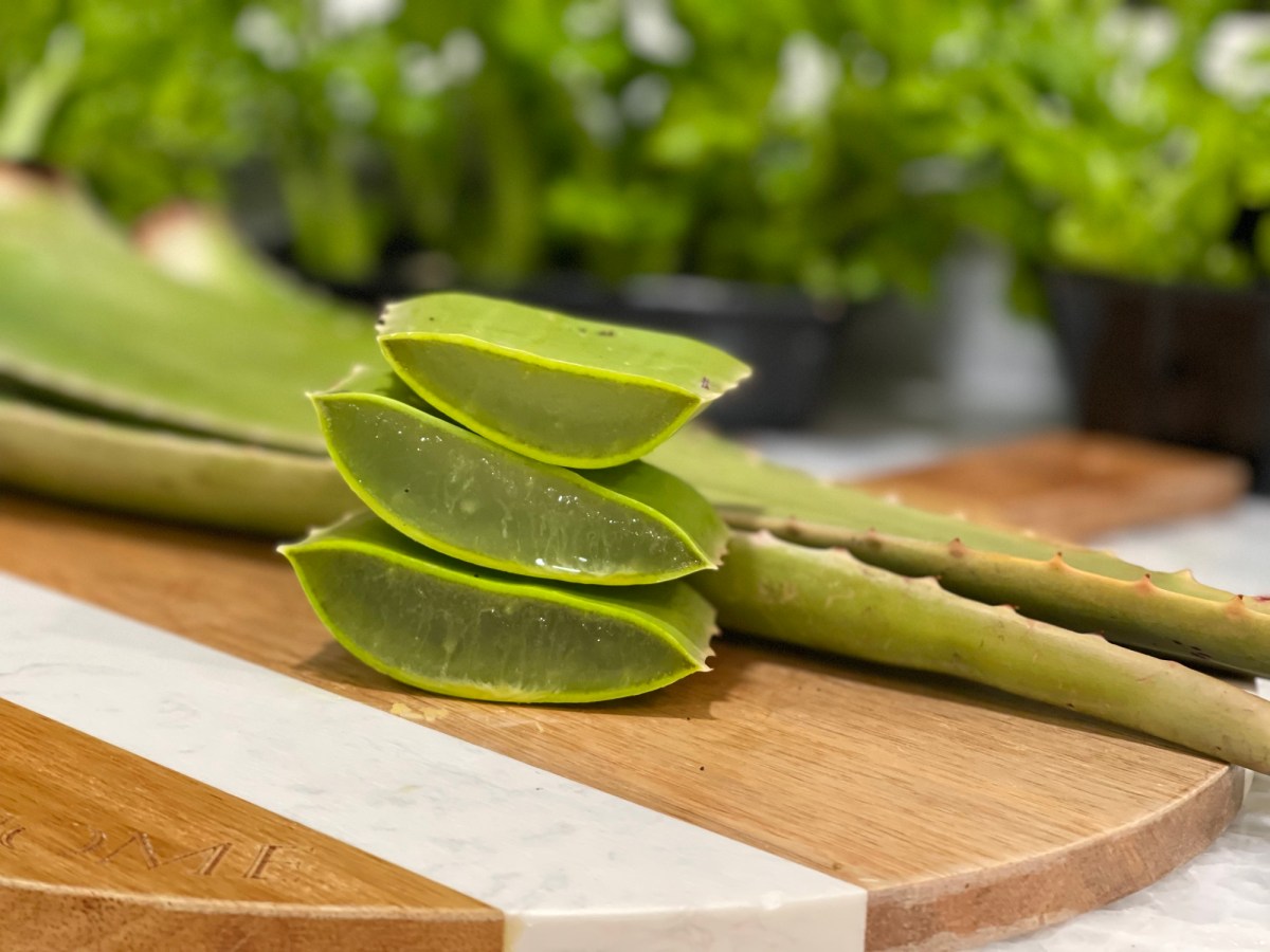 Healing with Aloe Vera – Externally and&nbsp;Internally
